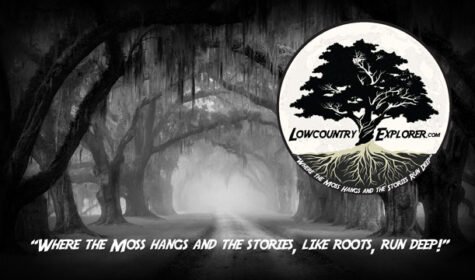 LCE-Moss-Overlay-640x360